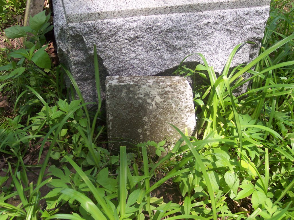unknown2.jpg