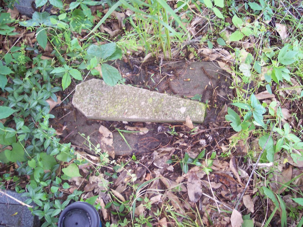 unknown6.jpg