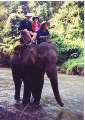 Ann and Curt on elephant in Thailand