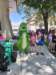 _140736_small.jpg